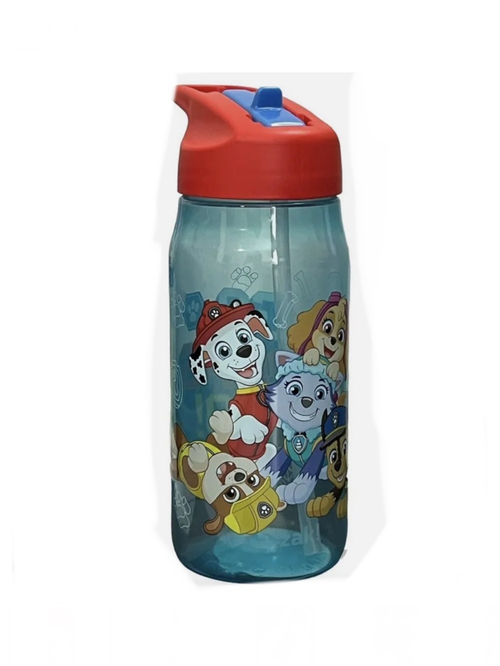 PAW Patrol Kids Flip Top Lid Water Bottle With Straw & Carry Handle-